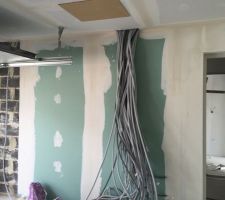 Calicots dans le garage