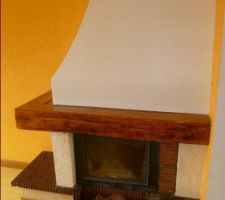 Cheminée bois avec insert
