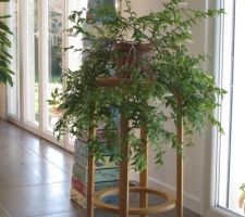 Tabouret de bar transformé en porte plante