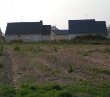 Le terrain avant viabilisation... Rien n'est fait !