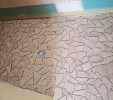 Sol douche suite parentale