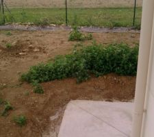 Niveau de la terre trop haut par apport a la terrase