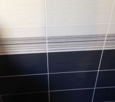 Choix carrelage salle d'eau