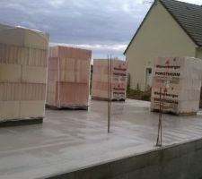 Les premières briques