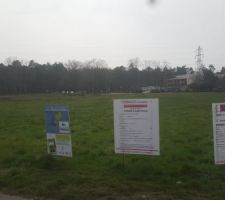 Début des travaux du lotissment