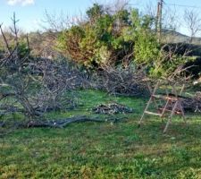 Pr&eacute;paration terrain