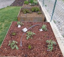 Renouvellement des carrés potagers