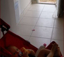 Vu sur l'entrée