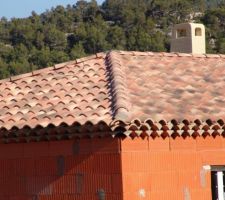 Tuile d'arêtier coupé