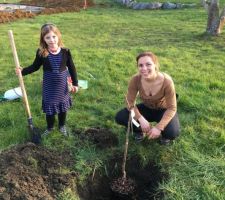 Ils ont pos&eacute; les premiers rang d'agglo et on plante notre premier arbre : un cerisier...
