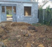 Aplatissement des Terres et enlèvement du bois devant la maison