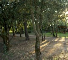 Vue du terrain