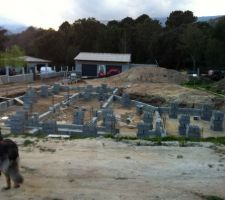 Petit à petit l'oiseau monte ses parpaings !!!