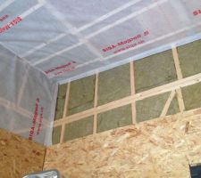 Garage: Rock façade pour les murs et laine de bois pour le plafond du garage