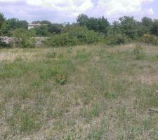 Autre vue du terrain