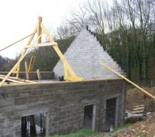 Construction de la charpente et pose des caches moineau