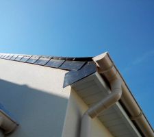 Premier coup de vent en bretagne et arriv&eacute;e des oiseaux