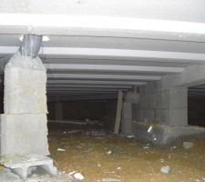 Vide sanitaire