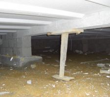 Vide sanitaire
