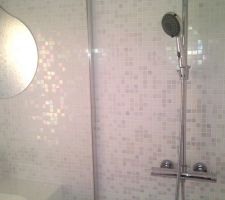 Idée douche mosaique blanche et nacré