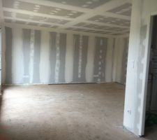 Cloisons et &eacute;lectricit&eacute; valid&eacute;es - vue salon s&eacute;jour