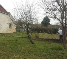 Photos du terrain avec les arbres que nous avons du couper.