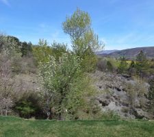 Vue de la terrasse est