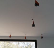 Protection des spots