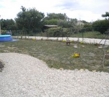 20 arbustes fleuris plantés tout le long du chemin du voisin (de 15/20cm à l'achat, certains font déjà plus d'1m de haut et de large); petit olivier de 4ans deviendra grand, en prenant son temps