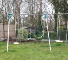 Pittosporum replant&eacute; n&deg;2