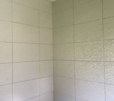 Faïence de la salle de douche: 3 murs blancs et le mur dans a longueur de la douche gris clair (mur de droite sur la photo). Cela se voit à peine !