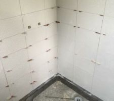 Faïence de la salle de douche: 3 murs blancs et le mur dans a longueur de la douche gris clair (mur de droite sur la photo). Cela se voit à peine !