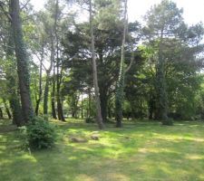 Le terrain au départ, pris de loin