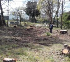 Apr&egrave;s abattage