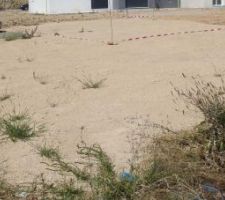 Implantation au sol de la maison.