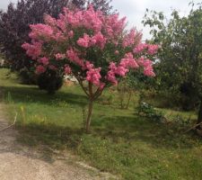 Nous n'avions pas encore trop modifié le jardin