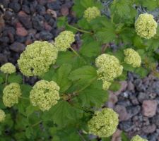 Tour du jardin