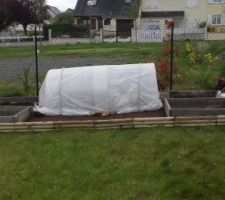 DIY petit potager sous serre.