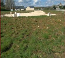 Photo prise au milieu du terrain