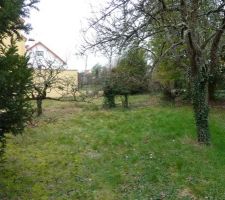 Nettoyage du terrain 1/4
