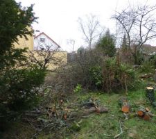 Nettoyage du terrain 2/4 - On coupe les arbres
