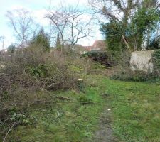 Nettoyage du terrain 3/4 - On coupe les arbres