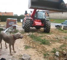 Notre chien supervise l'ensemble des travaux