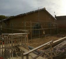 Crepis fini ( grain et encadrement en gratt&eacute;)