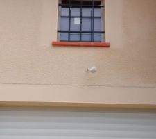 Crepis fini ( grain et encadrement en gratt&eacute;)