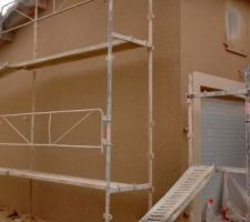 Crepis fini ( grain et encadrement en gratt&eacute;)