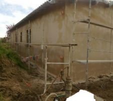 Crepis fini ( grain et encadrement en gratt&eacute;)