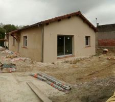 Crepis fini ( grain et encadrement en gratt&eacute;)