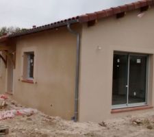 Crepis fini ( grain et encadrement en gratt&eacute;)