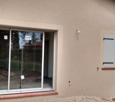 Crepis fini ( grain et encadrement en gratt&eacute;)